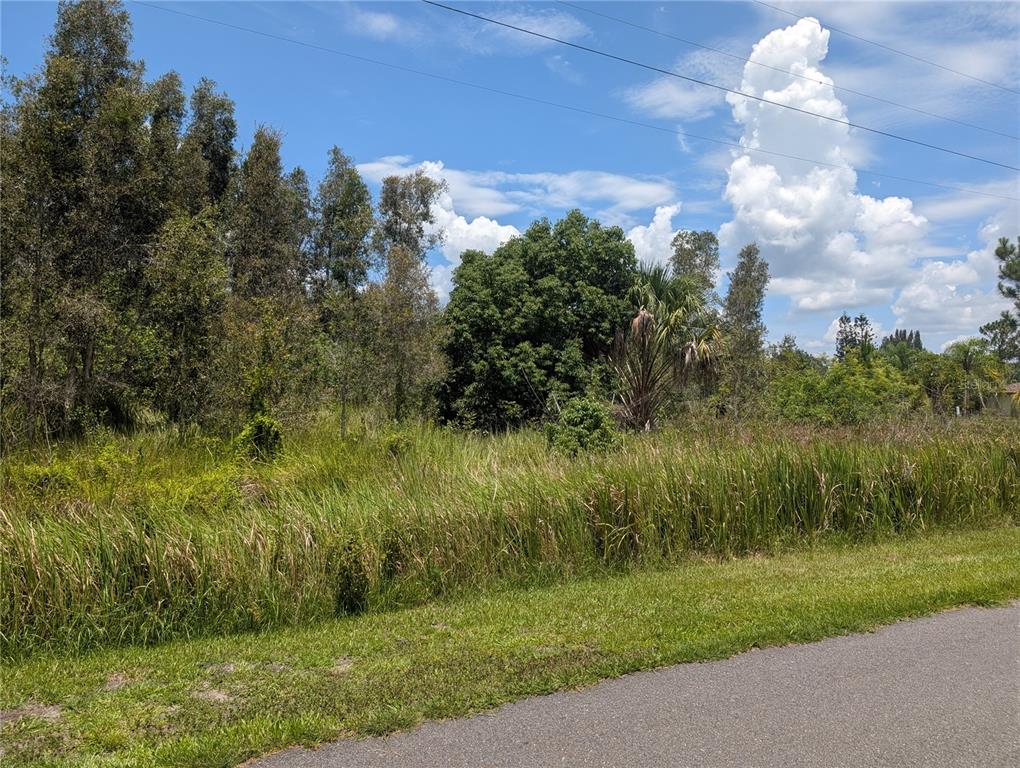 An aerial view shows a rectangular, wooded vacant lot outlined in red next to a road — ARBOREA DRIVE N, INDIAN LAKE ESTATES, FL