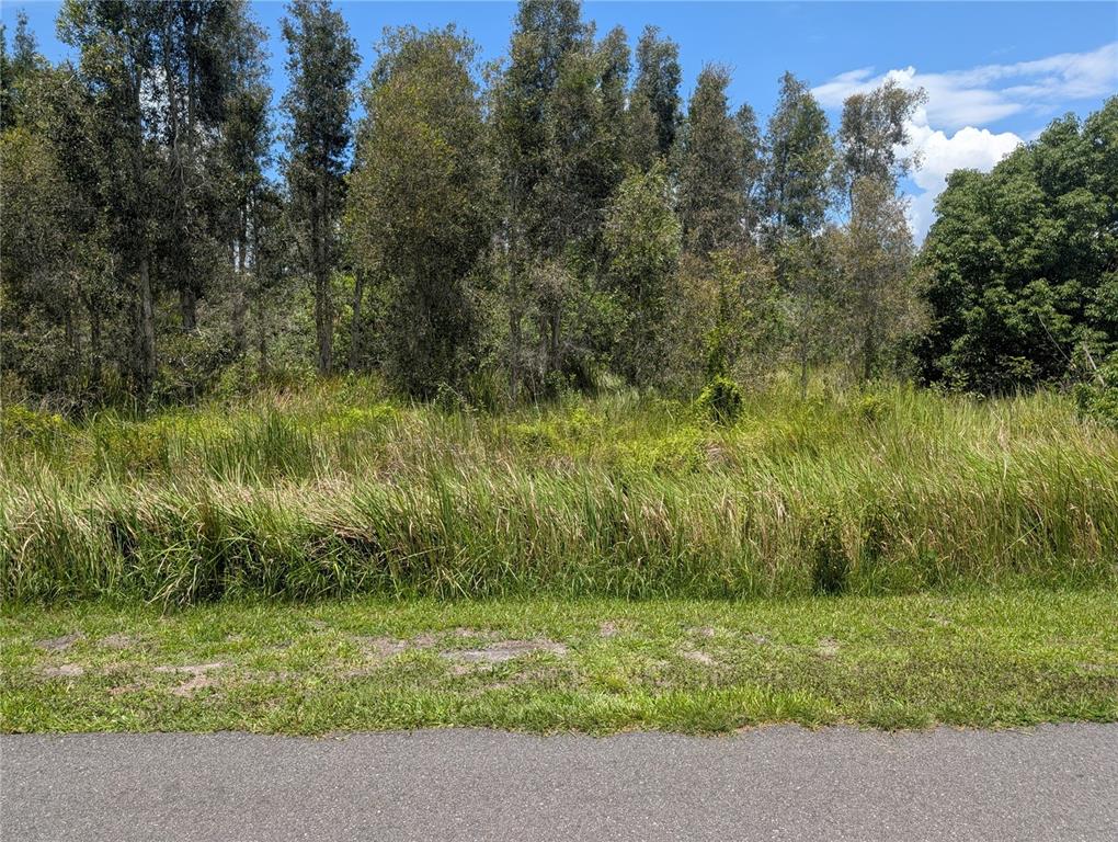 An aerial view shows a rectangular, tree-covered vacant lot outlined in red next to a road — ARBOREA DRIVE N, INDIAN LAKE ESTATES, FL