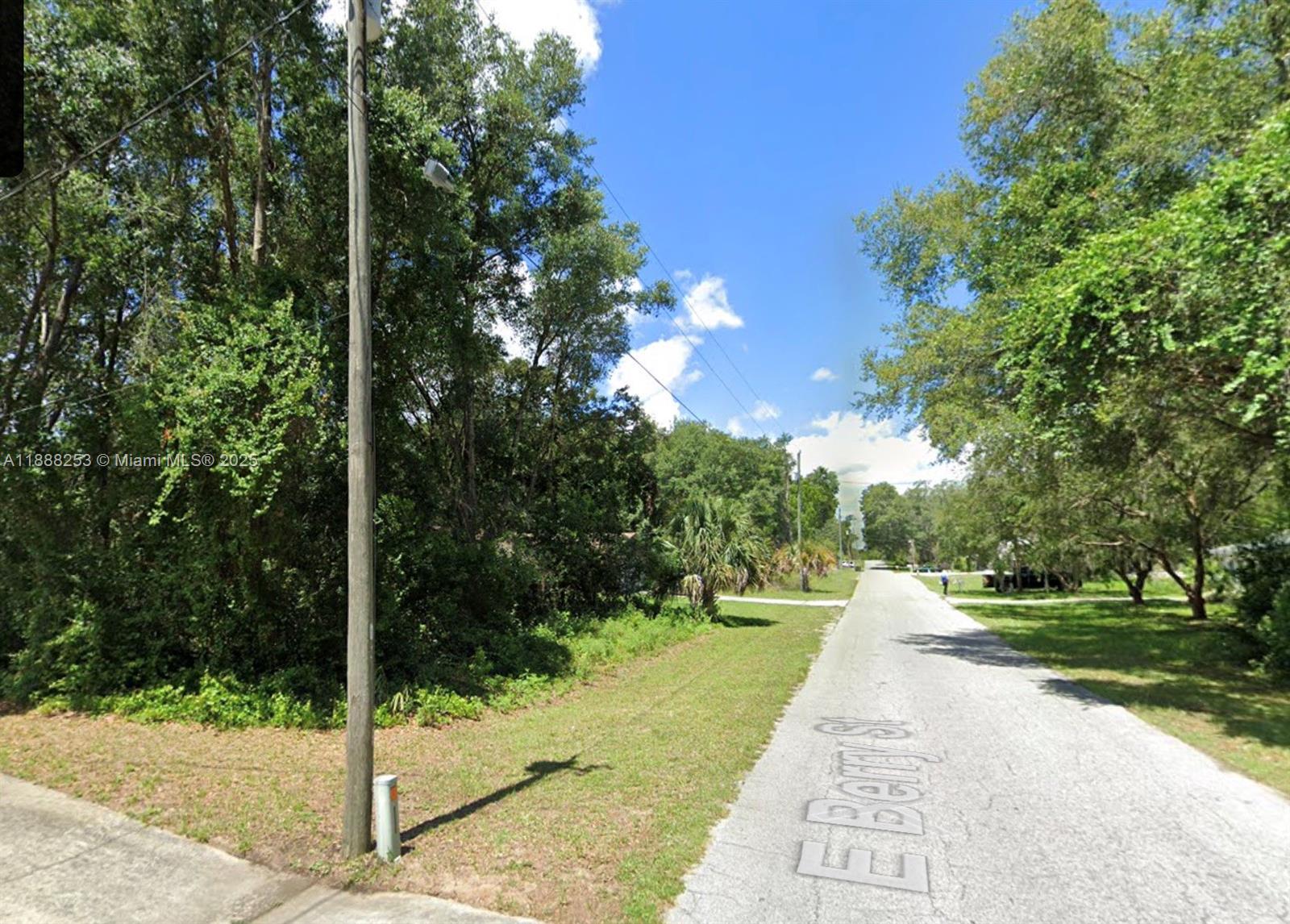 A paved street lined with trees and a utility pole on a sunny day — 4102 E Berry St, Inverness FL 34453, INVERNESS, FL