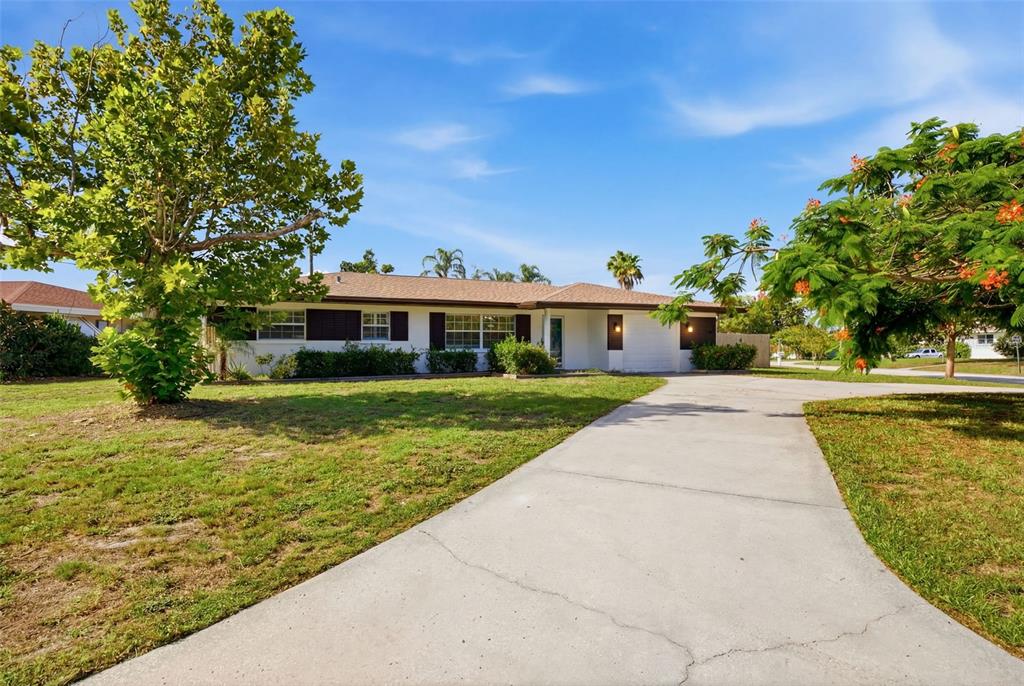 A single-story house with a concrete driveway, a large front lawn, and mature trees — 2051 MAGNOLIA DRIVE, CLEARWATER, FL