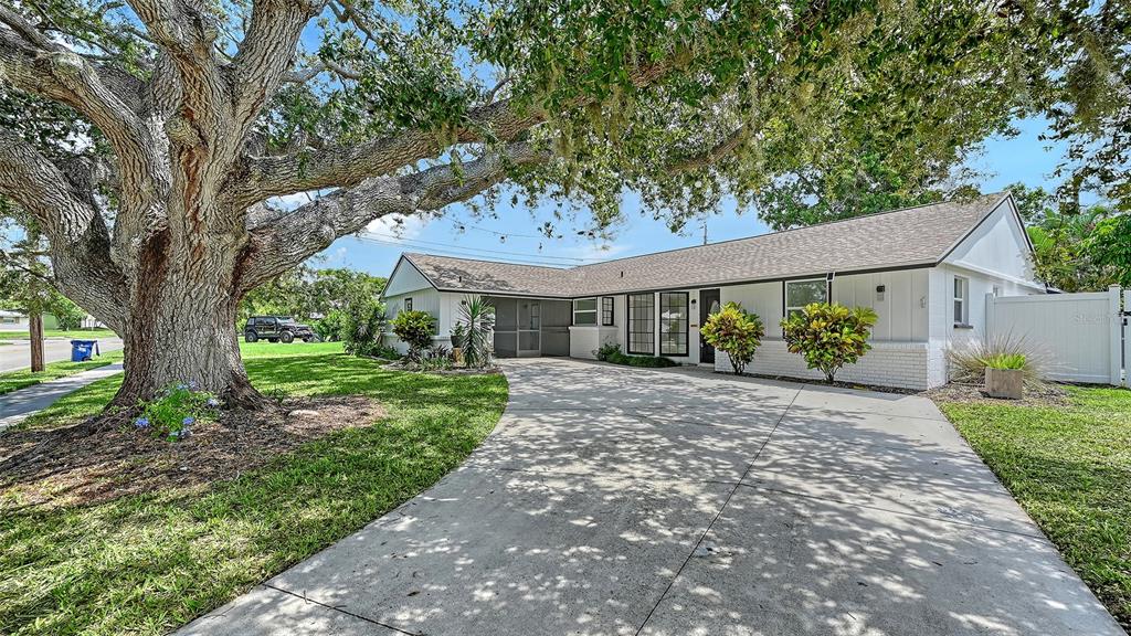A single-story white house with a concrete driveway and a large oak tree in front — 6711 S LOCKWOOD RIDGE ROAD, SARASOTA, FL