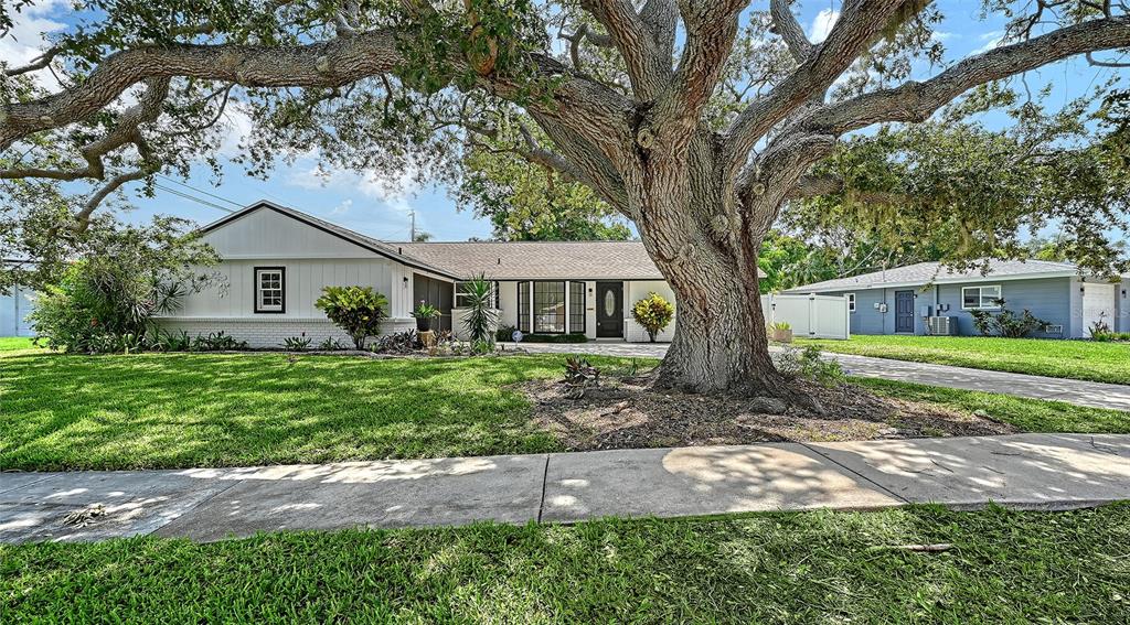 A single-story house with a large oak tree in the front yard and a driveway — 6711 S LOCKWOOD RIDGE ROAD, SARASOTA, FL
