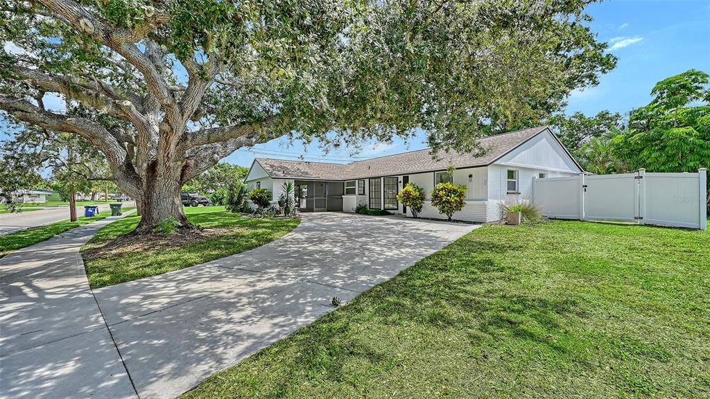 A white single-story house with a large oak tree and a concrete driveway — 6711 S LOCKWOOD RIDGE ROAD, SARASOTA, FL