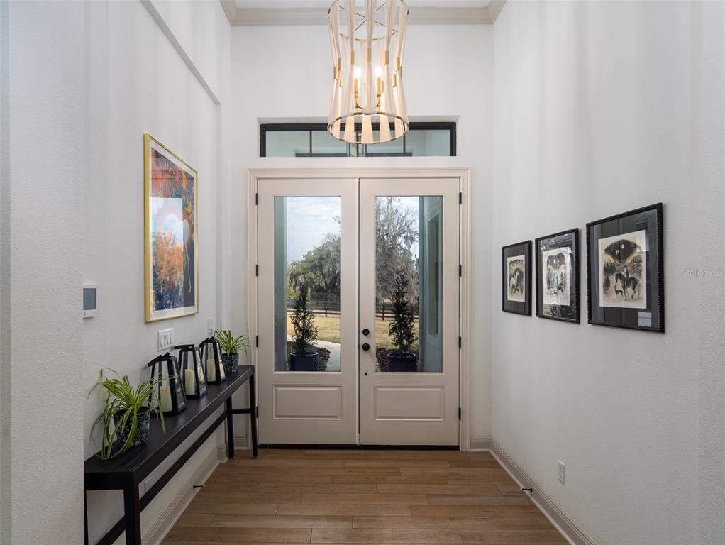 A bright entryway features double glass doors, a modern chandelier, and a black console table — 11920 SE 22ND AVENUE ROAD, OCALA, FL