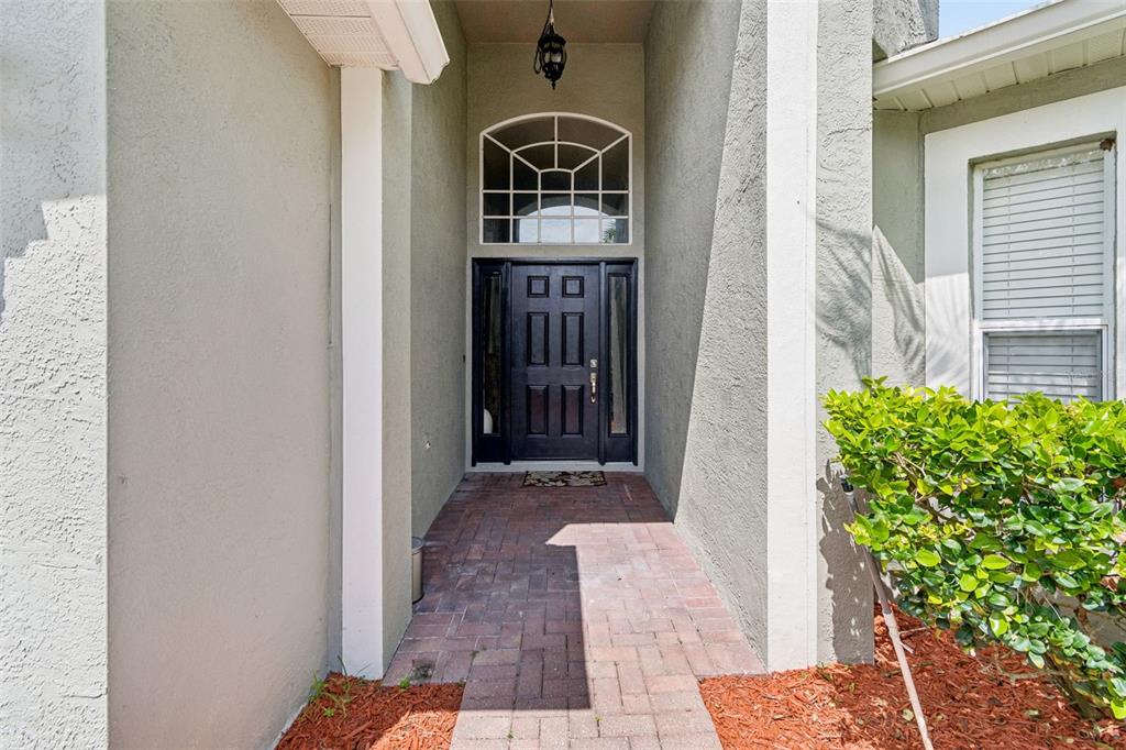 A front entryway features a dark door with sidelights, a transom window, and brick pavers — 19308 SANDY SPRINGS CIRCLE, LUTZ, FL