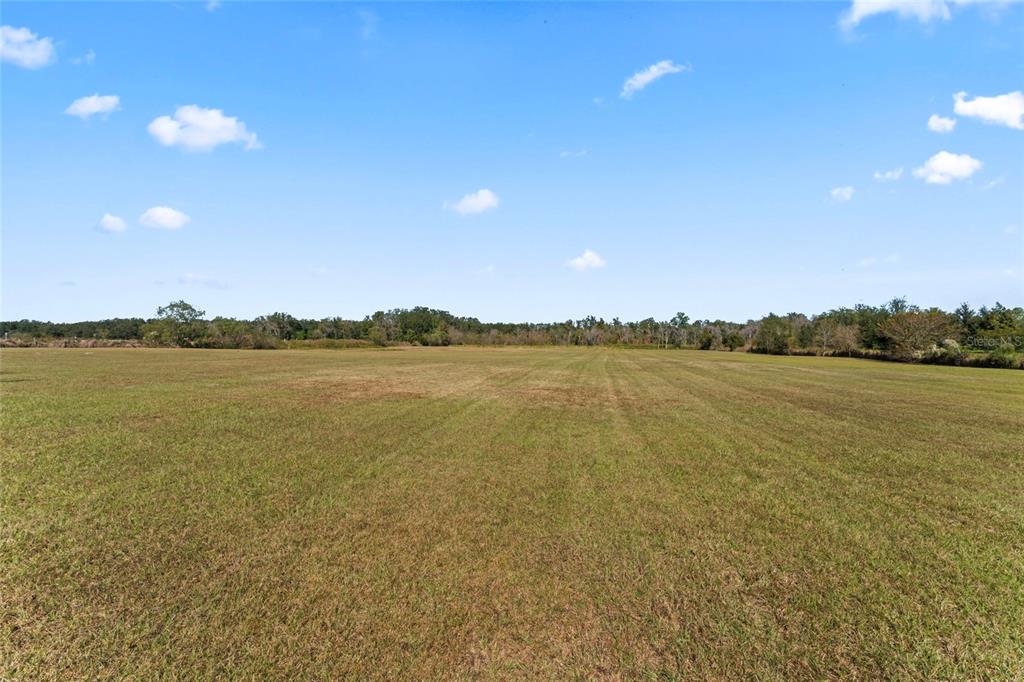 0 COUNTY ROAD 52, SAN ANTONIO, FL — photo 3 of 15