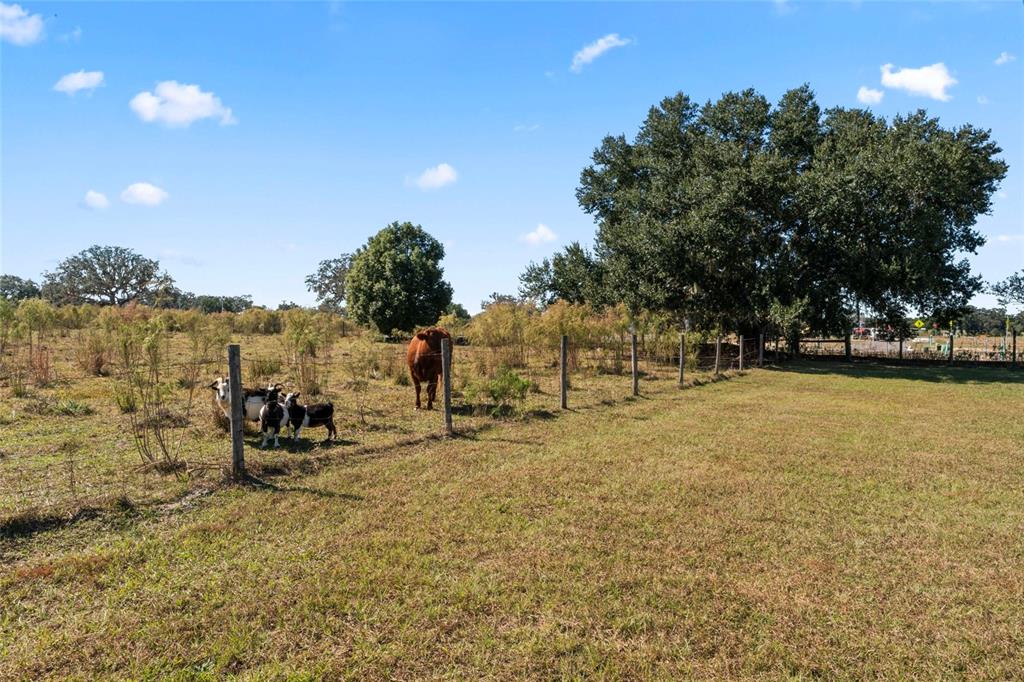 0 COUNTY ROAD 52, SAN ANTONIO, FL — photo 4 of 15