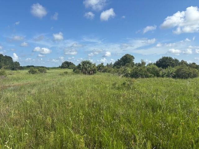 A grassy, open field features scattered shrubs and palm trees under a blue, cloudy sky — 0 NW 318th Street, Okeechobee FL 34972, OKEECHOBEE, FL
