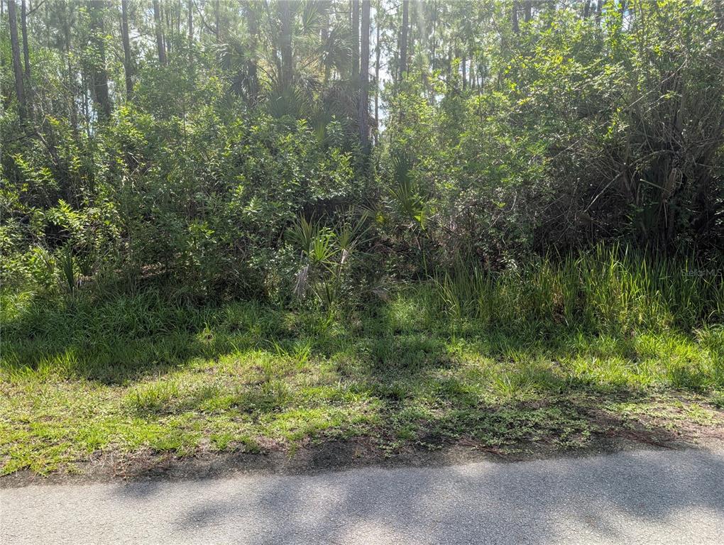 A paved road stretches through a wooded area under a blue sky with scattered clouds — 30 AMARYLLIS DRIVE, INDIAN LAKE ESTATES, FL