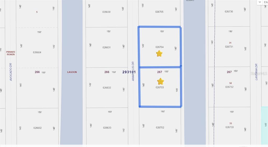 This is a map showing two adjacent land parcels highlighted with stars — 30 AMARYLLIS DRIVE, INDIAN LAKE ESTATES, FL
