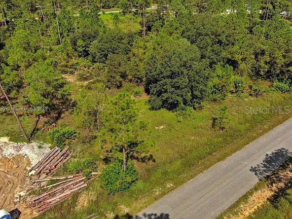 An aerial view shows a vacant, wooded lot next to a paved road — 1219 WASHINGTON AVENUE, LEHIGH ACRES, FL