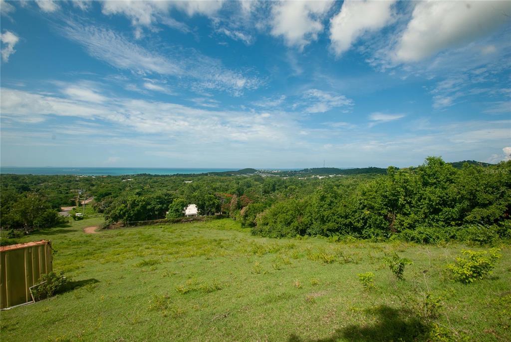 A grassy hillside overlooks a dense forest with a view of the ocean in the distance — 14 CALLE 16, VIEQUES, PR