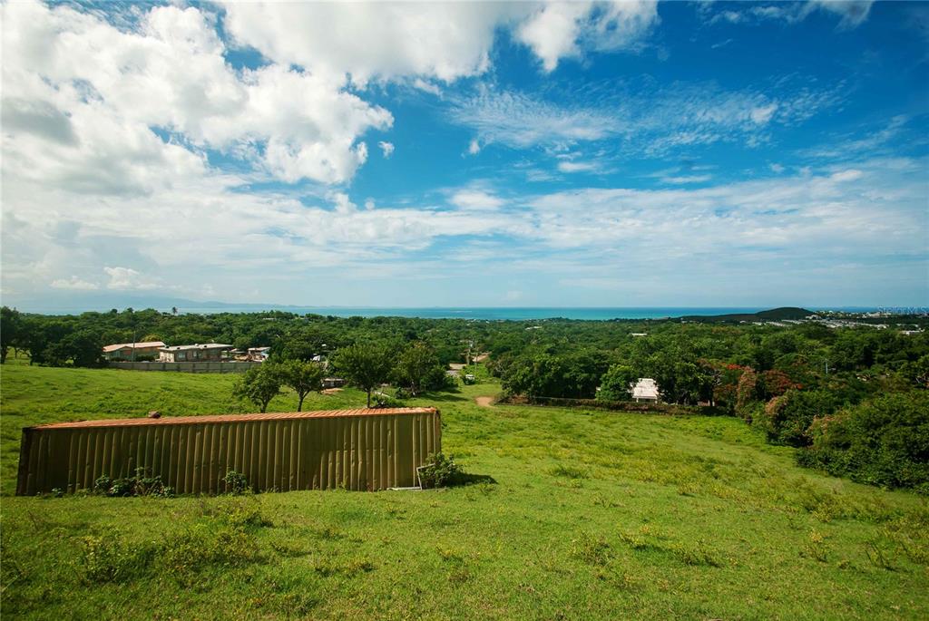 A grassy hillside overlooks a coastal landscape with scattered trees and distant houses under clouds — 14 CALLE 16, VIEQUES, PR
