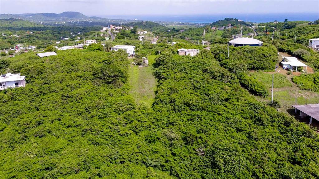An aerial view shows a lush, green hillside with several houses and a large water tank — 309 CALLE PAPO FOSTER, VIEQUES, PR