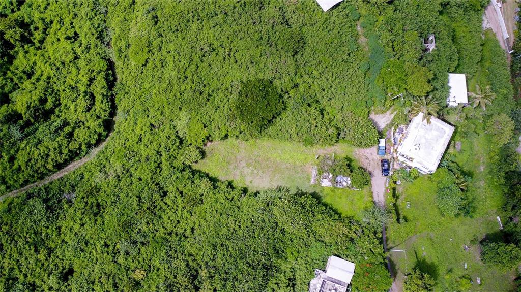 An aerial view shows a clearing surrounded by dense forest with a house and driveway — 309 CALLE PAPO FOSTER, VIEQUES, PR
