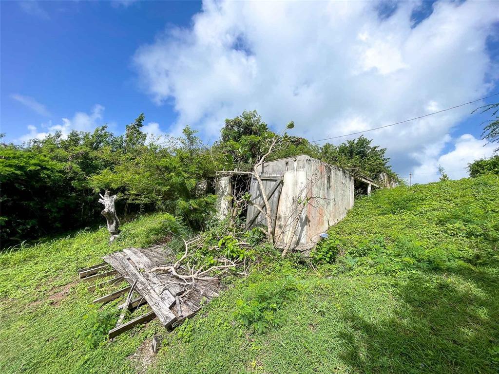 An old, weathered concrete structure sits overgrown with trees and vegetation on a grassy hill — 309 CALLE PAPO FOSTER, VIEQUES, PR