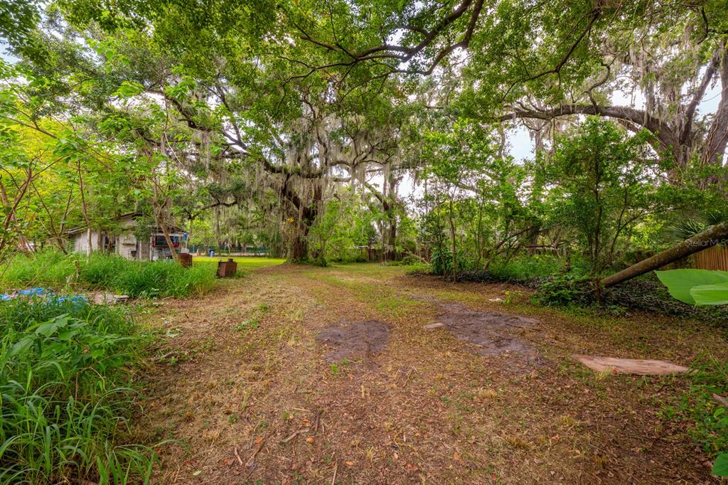 A large, grassy backyard features mature oak trees with Spanish moss and a small shed — 1102 HOFFNER AVENUE, ORLANDO, FL