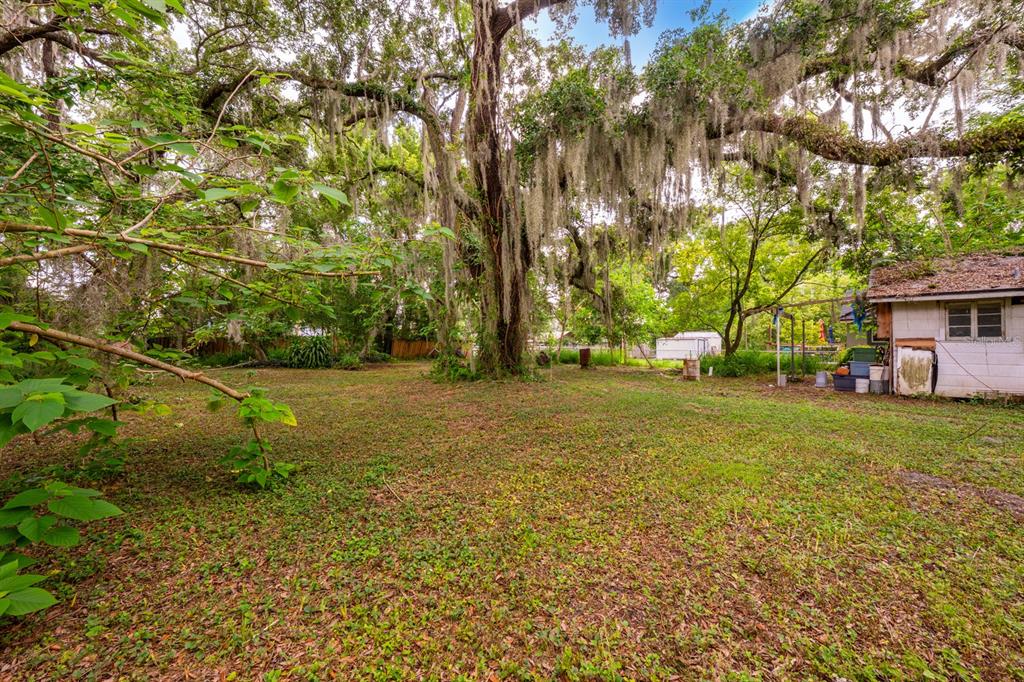 A large, grassy backyard features a massive oak tree draped in Spanish moss — 1102 HOFFNER AVENUE, ORLANDO, FL