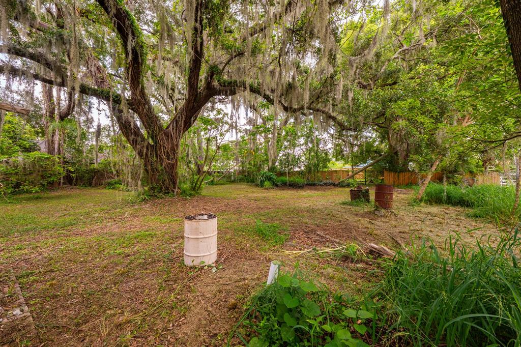 A large, grassy backyard features mature trees draped in Spanish moss and two metal barrels — 1102 HOFFNER AVENUE, ORLANDO, FL
