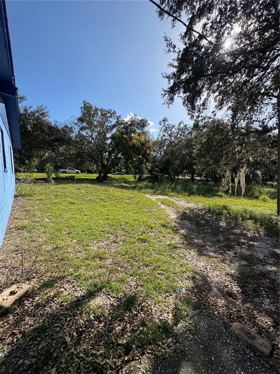 A grassy yard extends from the side of a blue building toward mature trees — 2101 STATE ROAD 50, GROVELAND, FL