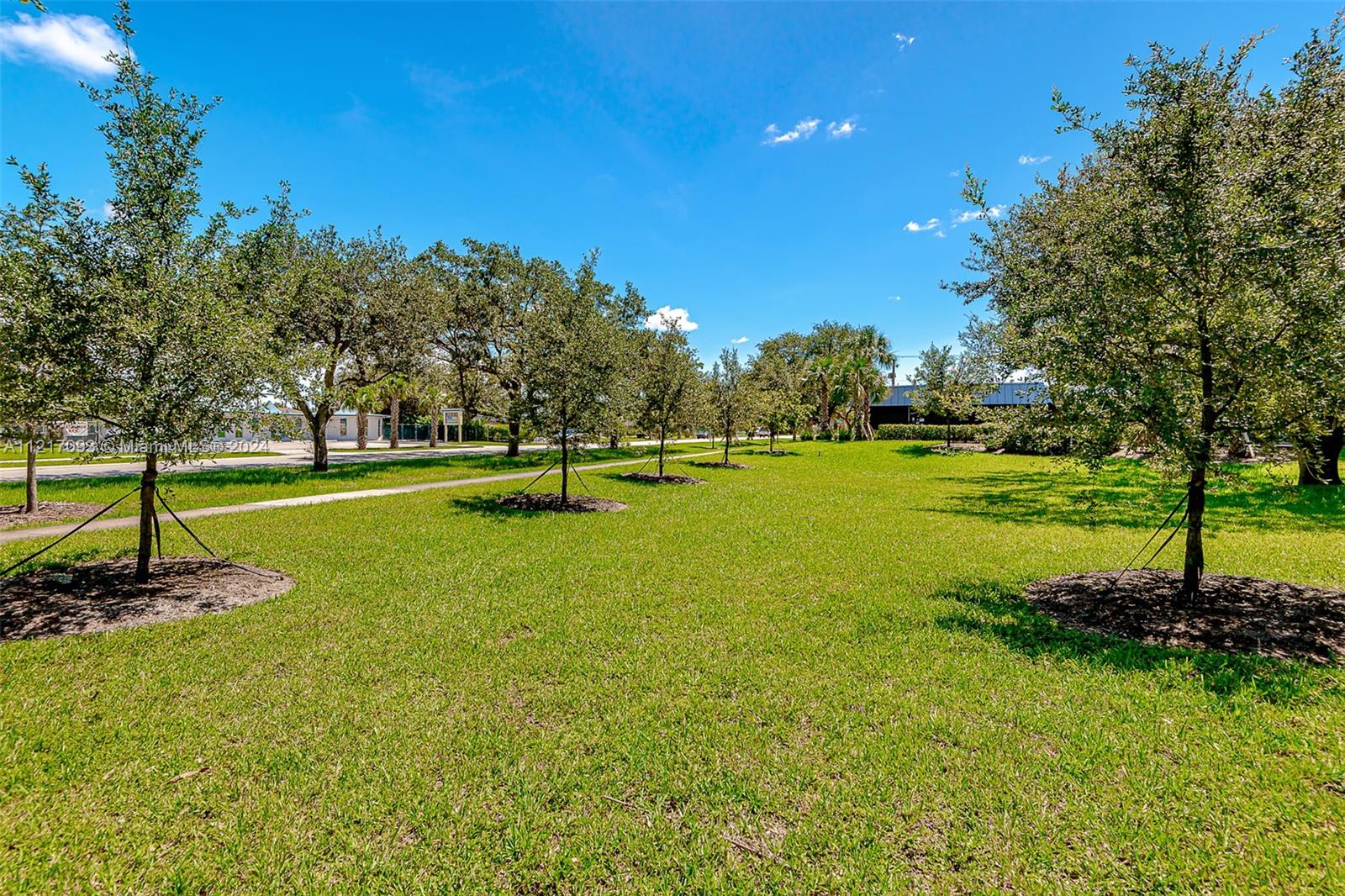 A grassy lawn features several young trees planted in a row under a blue sky — 7700 Davie Road Ext, Hollywood FL 33024, HOLLYWOOD, FL