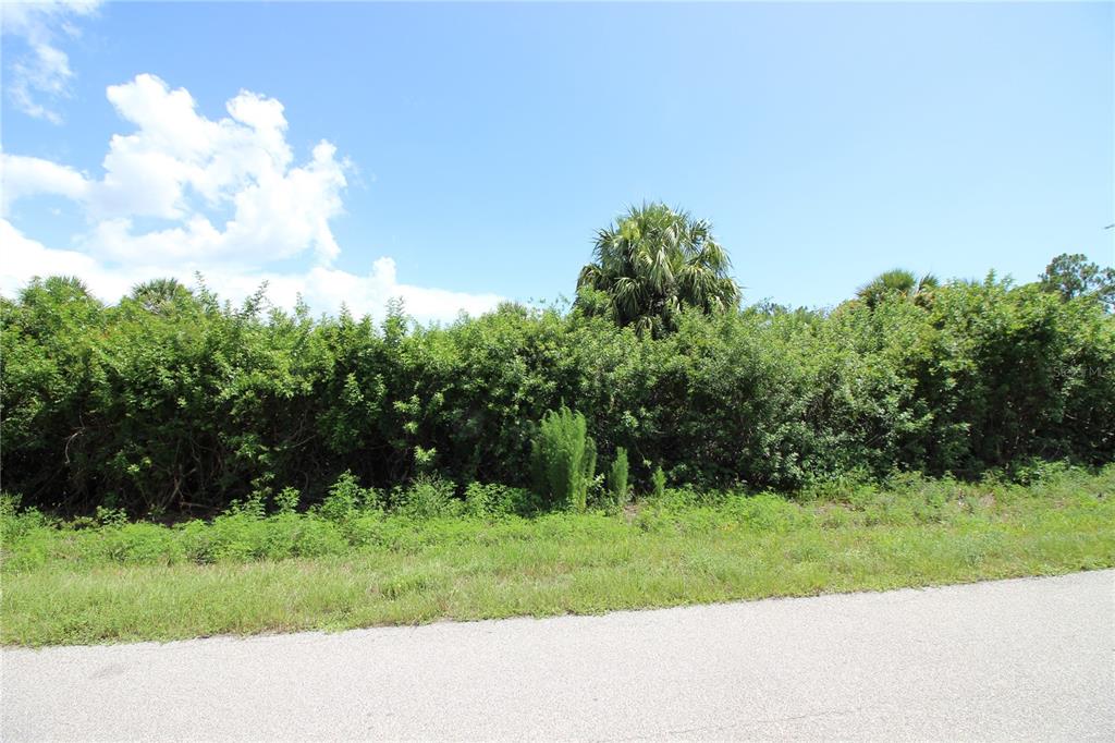 A paved road runs in front of a dense line of green trees and shrubs — 26351 BROOKS ROAD, PUNTA GORDA, FL