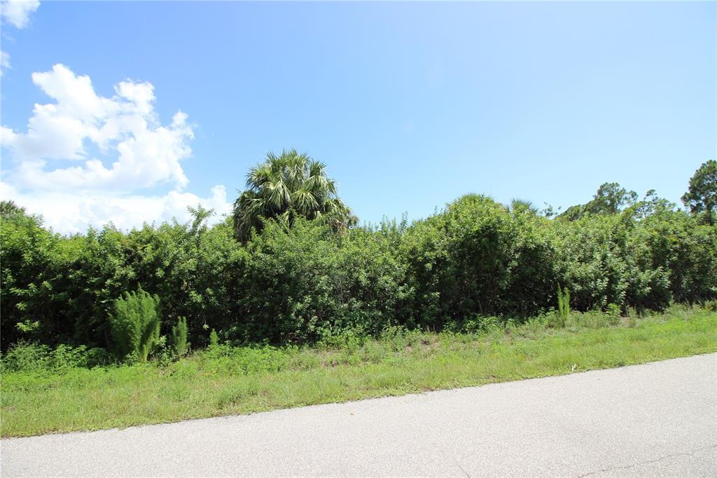 A paved road runs alongside a vacant, heavily wooded lot under a blue sky — 26351 BROOKS ROAD, PUNTA GORDA, FL