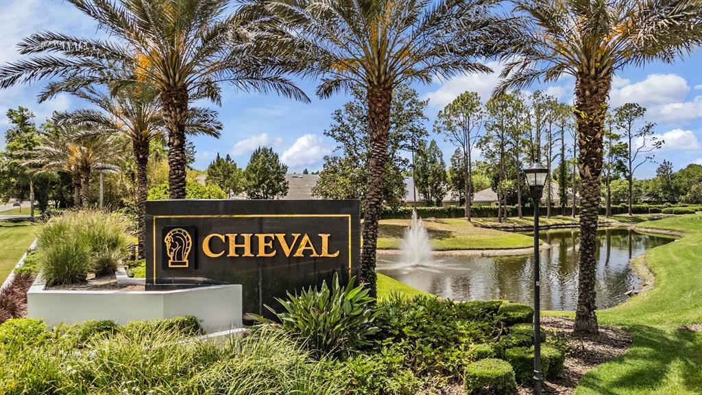 18707 PEPPER PIKE, LUTZ, FL — photo 2 of 30