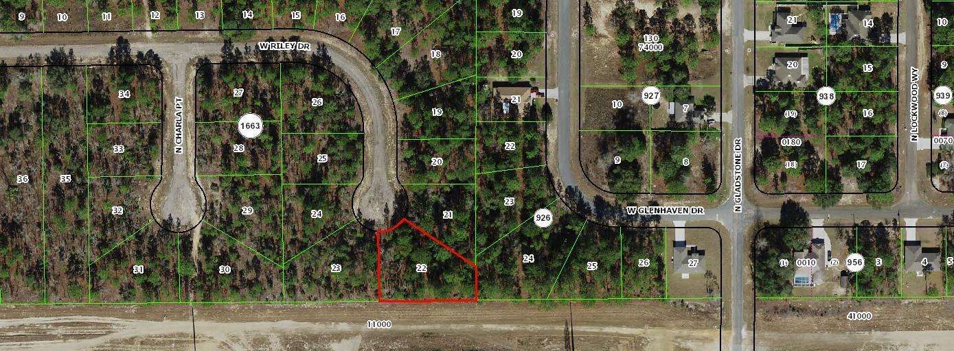 1005 W Riley Drive, FL 34434