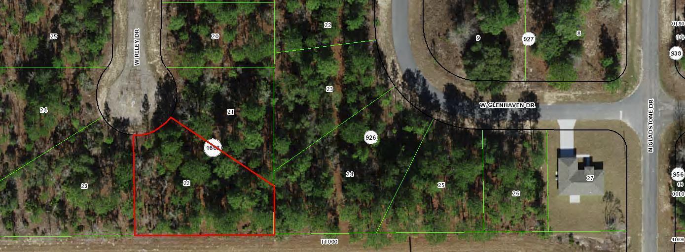 This is an aerial map showing a vacant, wooded residential lot outlined in red — 1005 W Riley Drive, FL 34434, FL