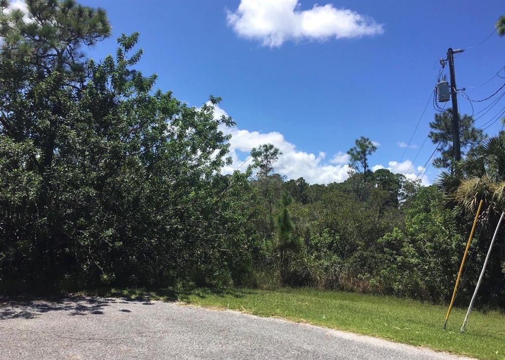A view of a grassy, wooded lot next to a paved road and utility pole — 26 LUTHER DRIVE, PALM COAST, FL