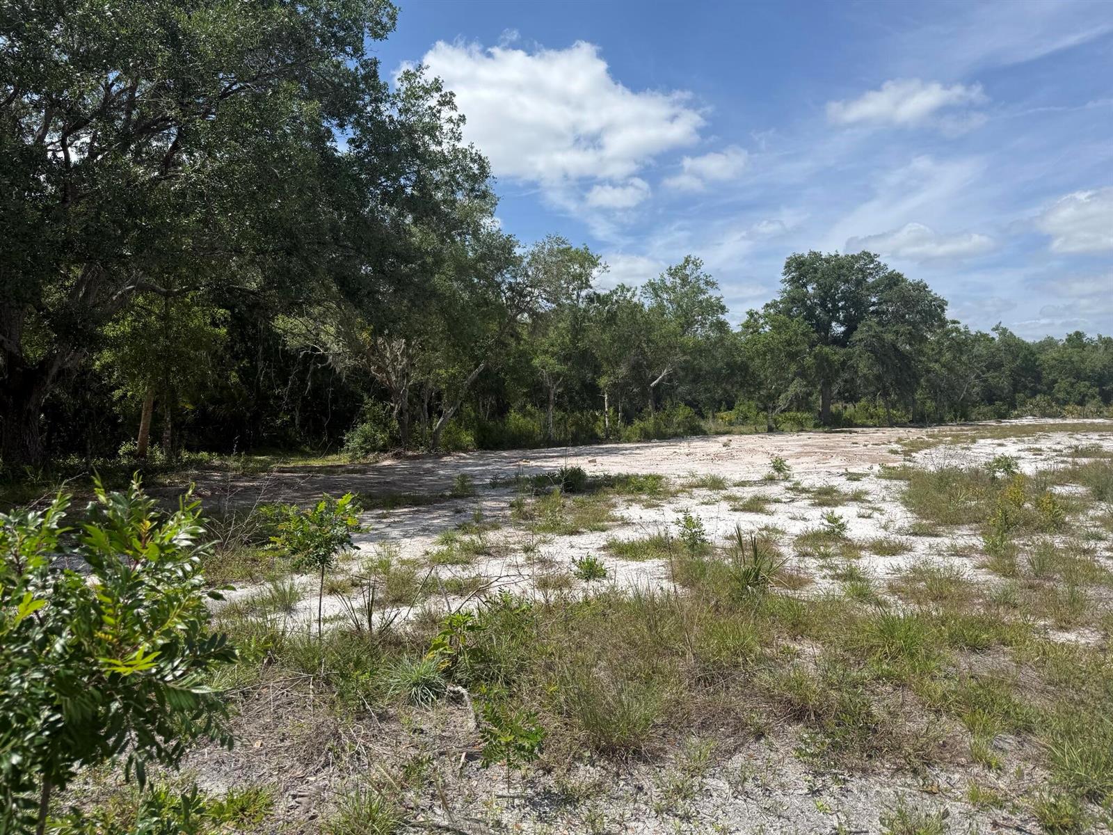 A vacant, sandy lot is bordered by a line of mature trees under a blue sky — 18121 NW 256th Street, Okeechobee FL 34972, OKEECHOBEE, FL
