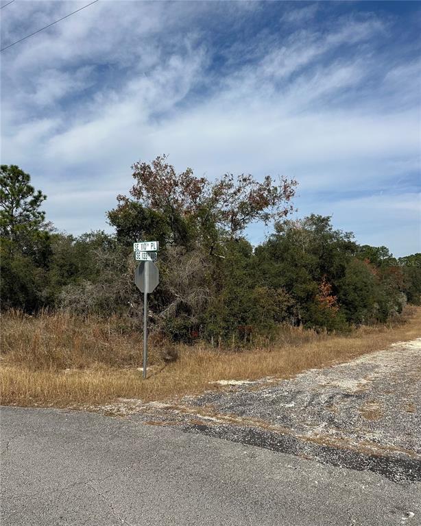 A street sign stands at the corner of a paved road and a dirt path — Lot 26 SE 133RD AVENUE, DUNNELLON, FL
