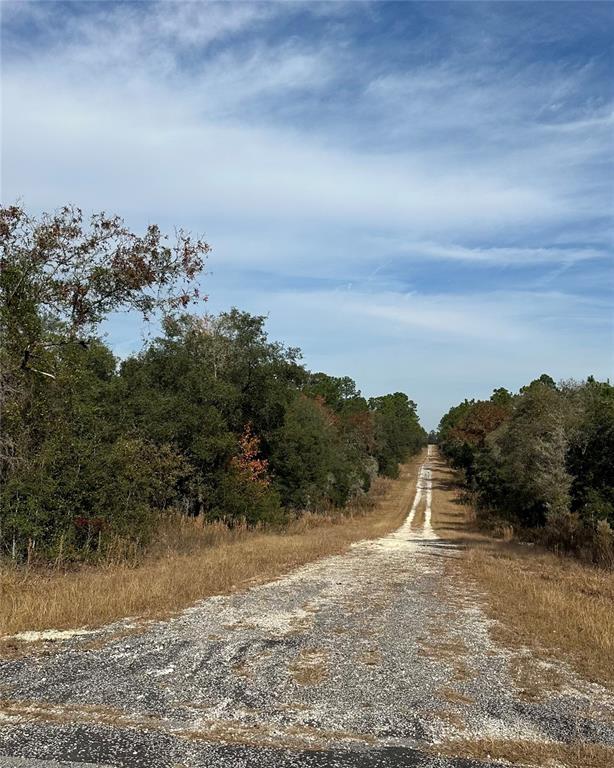 A gravel road stretches through a rural landscape lined with trees under a blue sky — Lot 26 SE 133RD AVENUE, DUNNELLON, FL