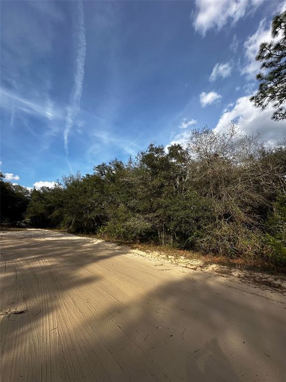 A dirt road runs alongside a dense line of trees under a blue sky — 13-10-24-4079-0060-0040, INTERLACHEN, FL