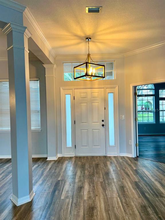 An entryway features wood-look flooring, a white front door with sidelights, and a modern chandelier — 18111 SUGAR BROOKE DRIVE, TAMPA, FL