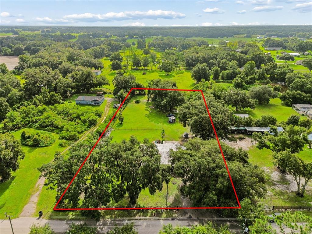 An aerial view shows a rectangular property lot outlined in red with trees and buildings — 4404 PLATT ROAD, PLANT CITY, FL