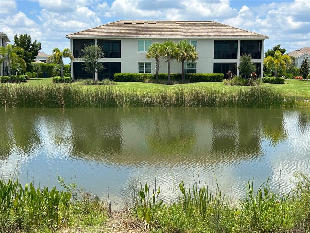 A two-story apartment building sits behind a pond with tall grasses in the foreground — 15983 GRASSLAND LANE UNIT 3411, PUNTA GORDA, FL