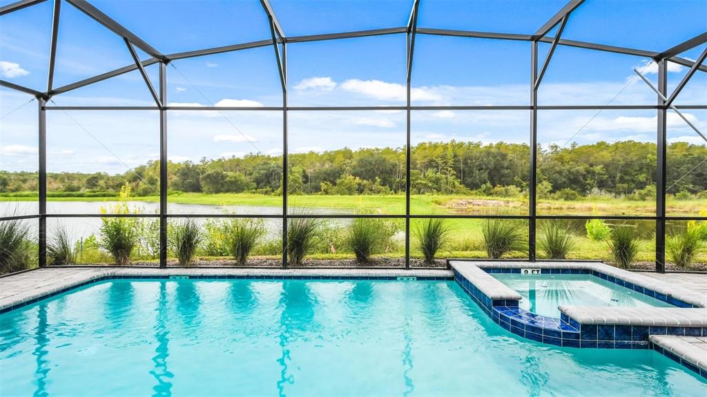 A screened-in swimming pool and spa overlook a pond and a line of trees — 2993 PROTAGONIST STREET, KISSIMMEE, FL