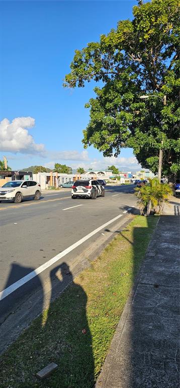 A street view showing a road with cars, a sidewalk, and a large tree — 33 S BAIROA AVE STREET S UNIT AF 2, CAGUAS, PR