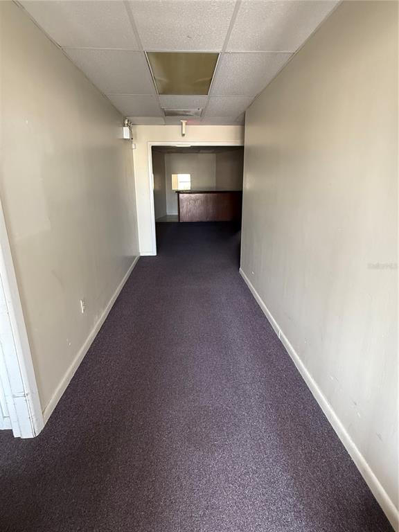 A narrow hallway with purple carpeting leads to a room featuring a wooden counter — 6736 COMMERCE AVENUE, PORT RICHEY, FL