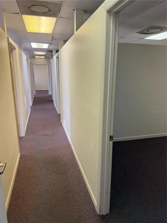 A narrow hallway with carpeted flooring leads past several doorways into empty office spaces — 6736 COMMERCE AVENUE, PORT RICHEY, FL
