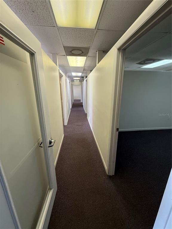 A narrow hallway with dark carpeting leads past several office doorways under a drop ceiling — 6736 COMMERCE AVENUE, PORT RICHEY, FL