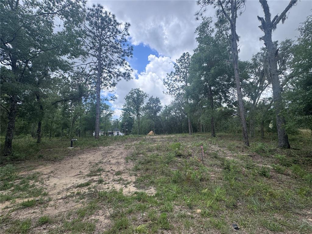 A partially cleared, wooded lot features a dirt path and a distant house — TBD NE 16TH PLACE, WILLISTON, FL