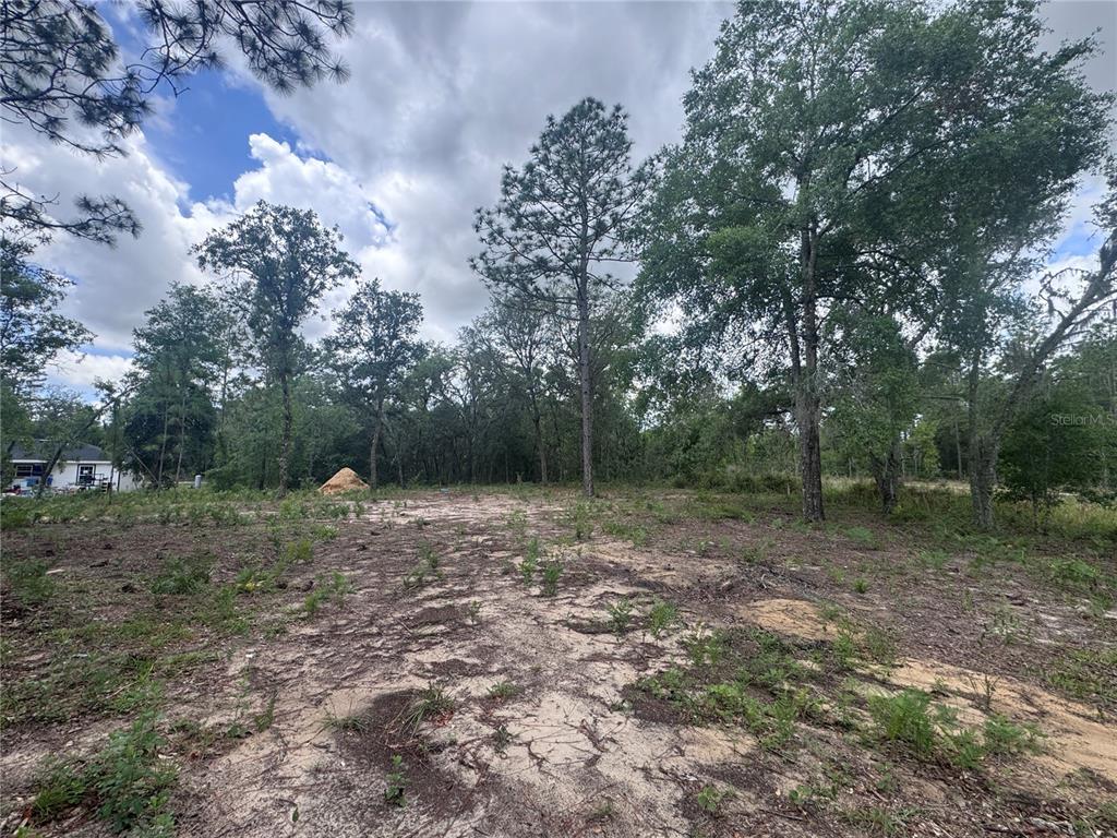 A cleared, sandy lot with scattered trees and a pile of dirt in the background — TBD NE 16TH PLACE, WILLISTON, FL