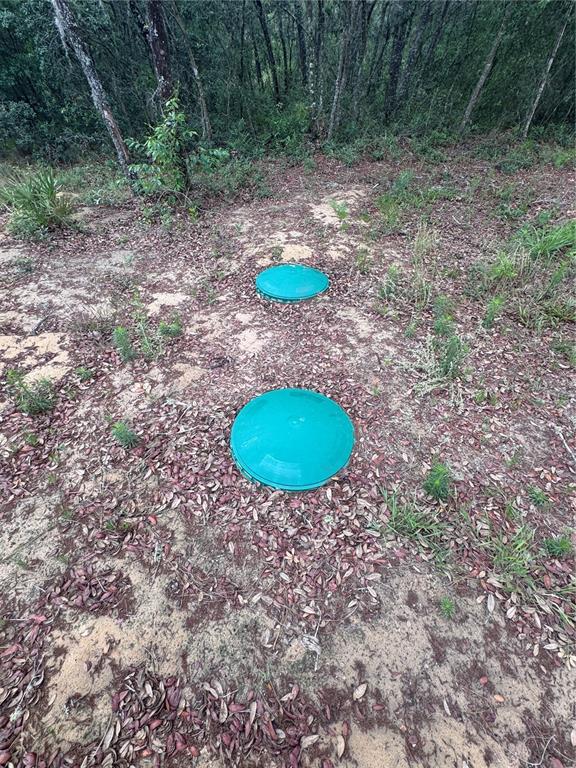 Two green septic tank access lids are visible in a wooded, sandy yard — TBD NE 16TH PLACE, WILLISTON, FL