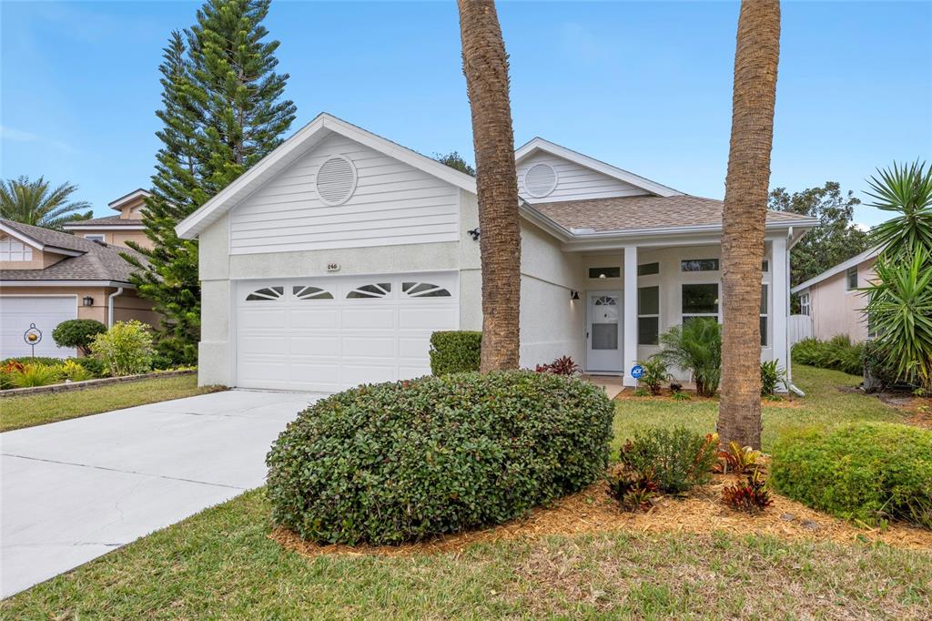246 JOEY DRIVE