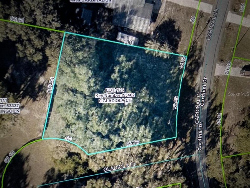 This is a map showing the property boundaries and dimensions of a wooded residential lot — 0 GLADIOLA COURT, DADE CITY, FL