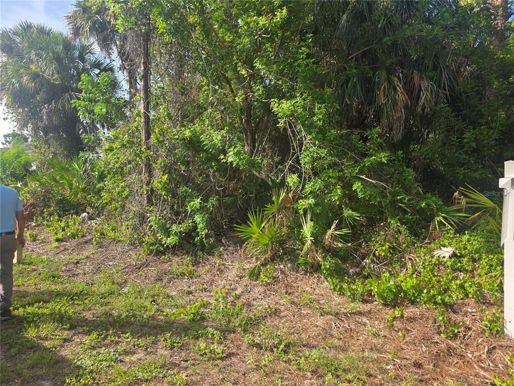 A person stands near a dense, overgrown wooded lot with a real estate sign — PRONTO LANE, NORTH PORT, FL