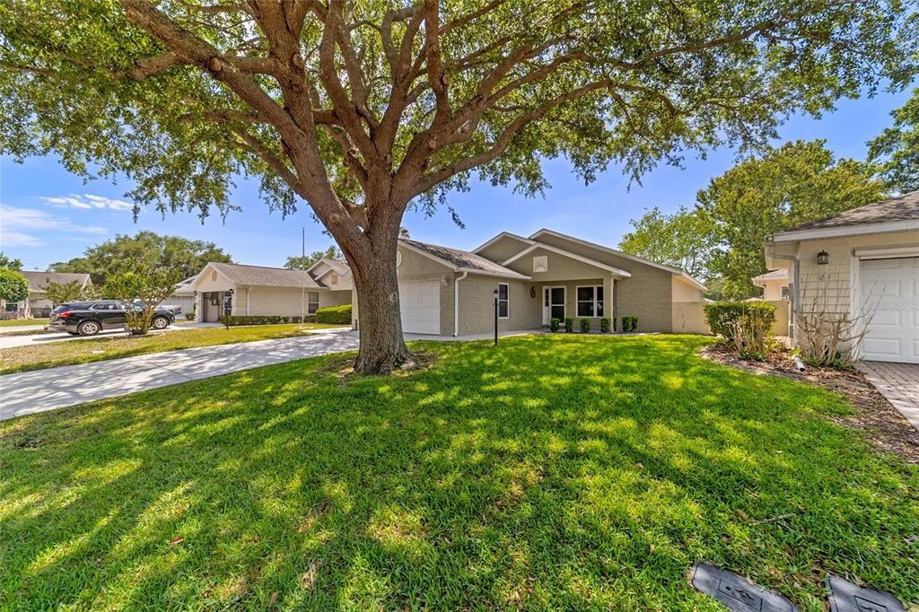 A single-story house with a large tree in the front yard and a driveway — 9181 SW 91ST CIRCLE, OCALA, FL